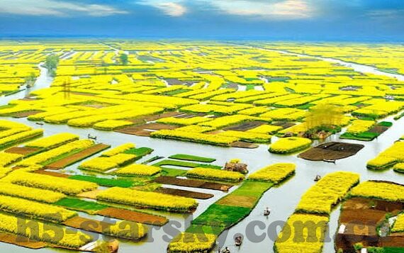 报足球比分-足球比分背后的激情与故事，一场比赛，万千世界