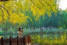 透透网足球比分直播-透透网足球比分直播，球迷的实时观赛新体验