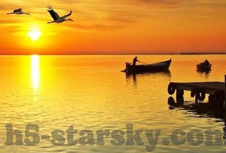 足球足球即时比分直播-足球即时比分直播，绿茵场上的数字心跳，连接全球球迷的情感纽带